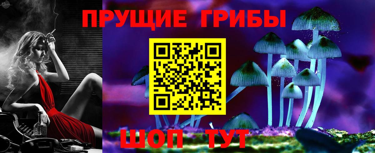 Псилоцибиновые грибы мицелий Углич
